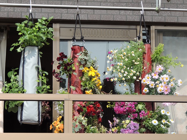 サンプルイメージ